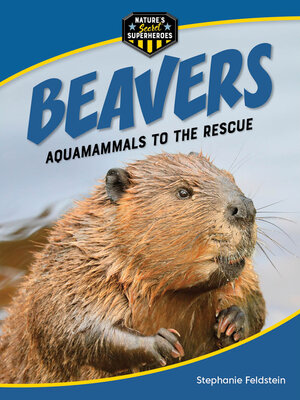 cover image of Beavers